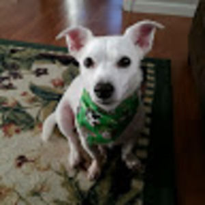 Meet your Posher, Micaela